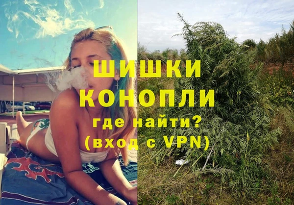 шишки Балахна