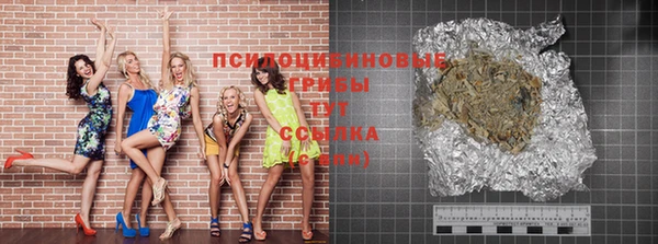 шишки Балахна
