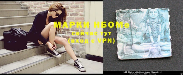 шишки Балахна