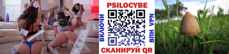 что такое   Пласт  Псилоцибиновые грибы Cubensis 